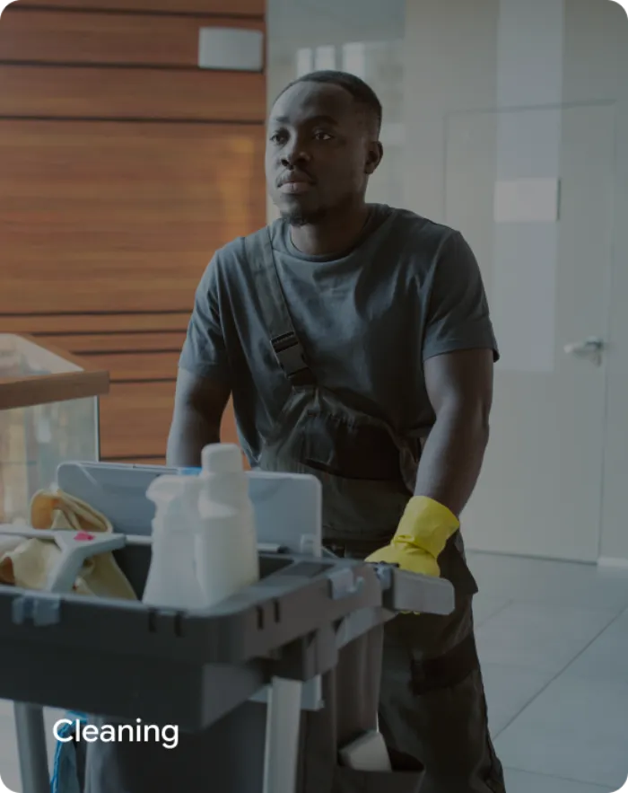 Cleaning Category